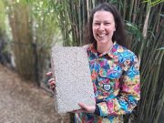Planetary Health Day to be held at Katoomba
