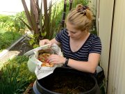 Blue Mountains Council searches for recycling royalty