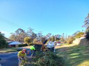 Council provides extra rubbish services following wild winds