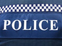 Troubled mum found not liable for killing her two sons in Blue Mountains home