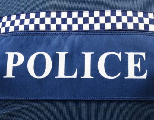 Troubled mum found not liable for killing her two sons in Blue Mountains home