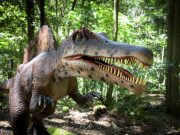 Australia’s biggest dinosaur experience opens at Scenic World this weekend