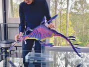 Art comes alive in Mulgoa Valley