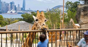 Five Affordable Family Days Out