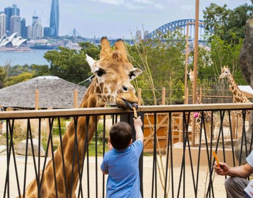 Five Affordable Family Days Out
